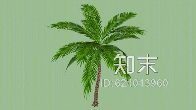 棕榈树SU模型下载【ID:621013960】