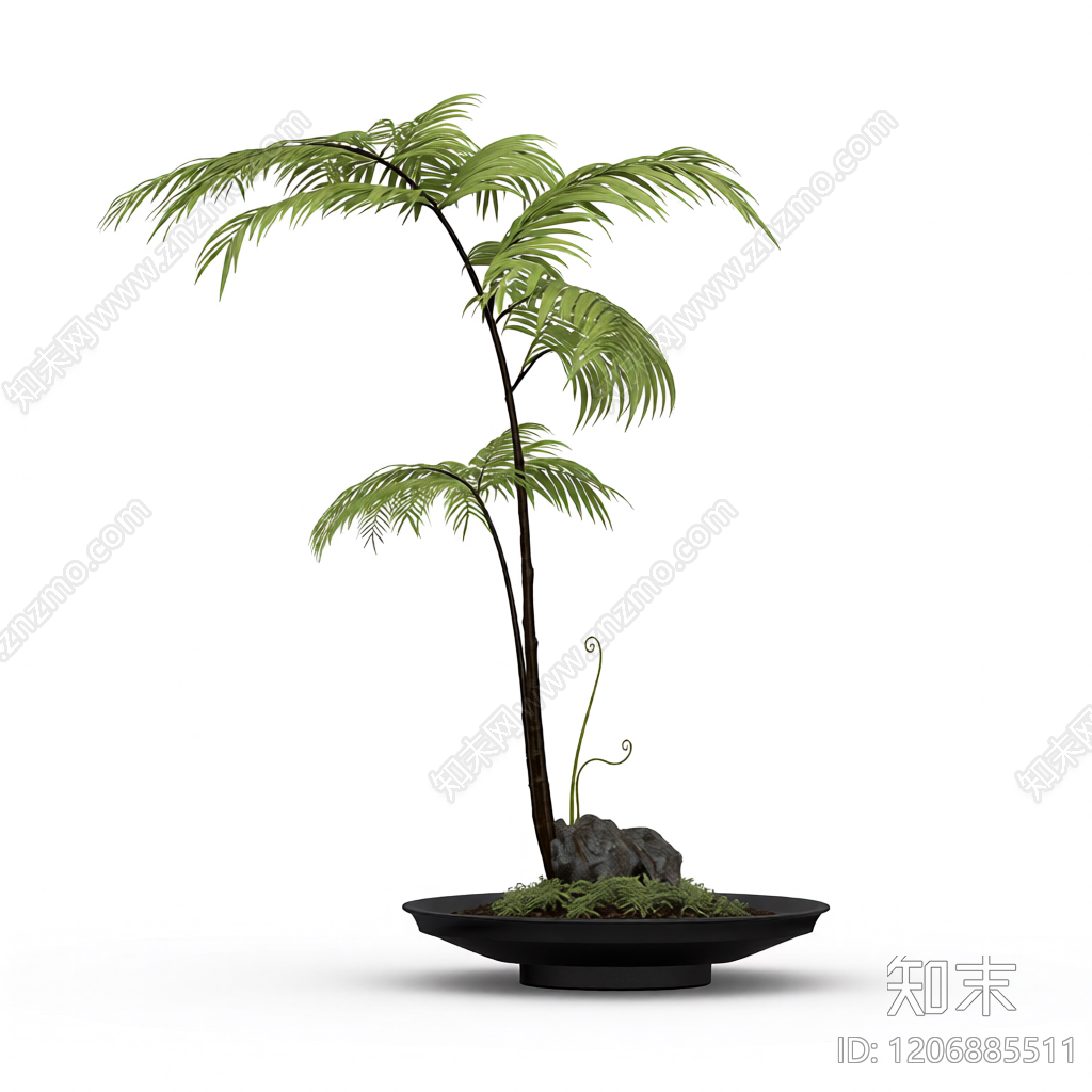 盆栽蕨类植物装饰3D模型下载【ID:1206885511】