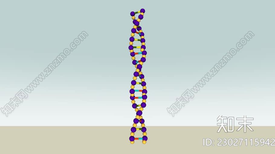 DNA结构SU模型下载【ID:1162484528】