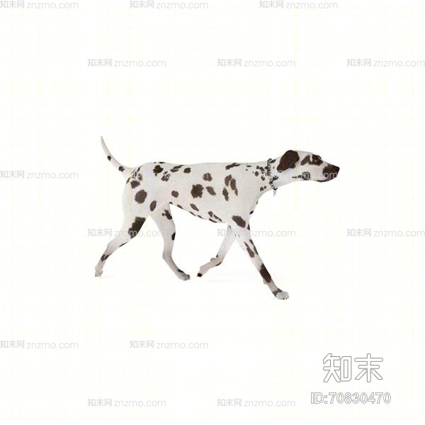 白色狗3D模型下载【ID:70830470】
