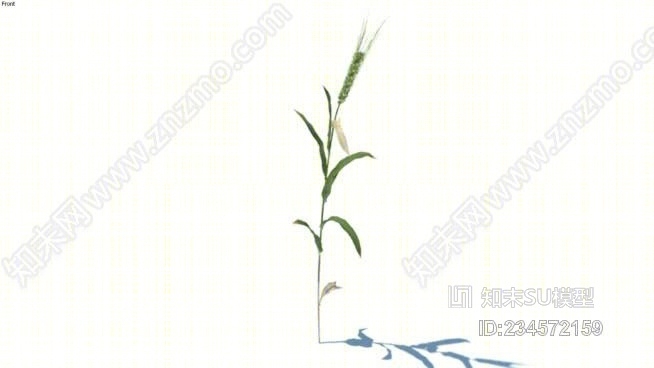 草，高聚乙烯，VRAY就绪（112）SU模型下载【ID:234572159】