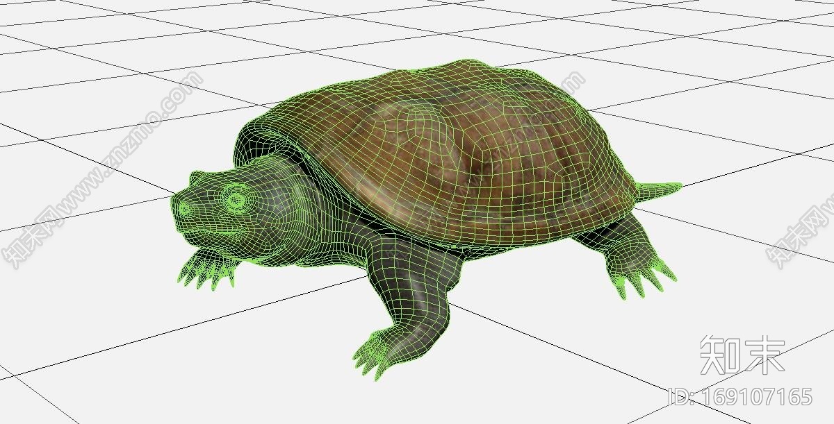 天气冷了送个甲鱼大家补补身子CG模型下载【ID:169107165】