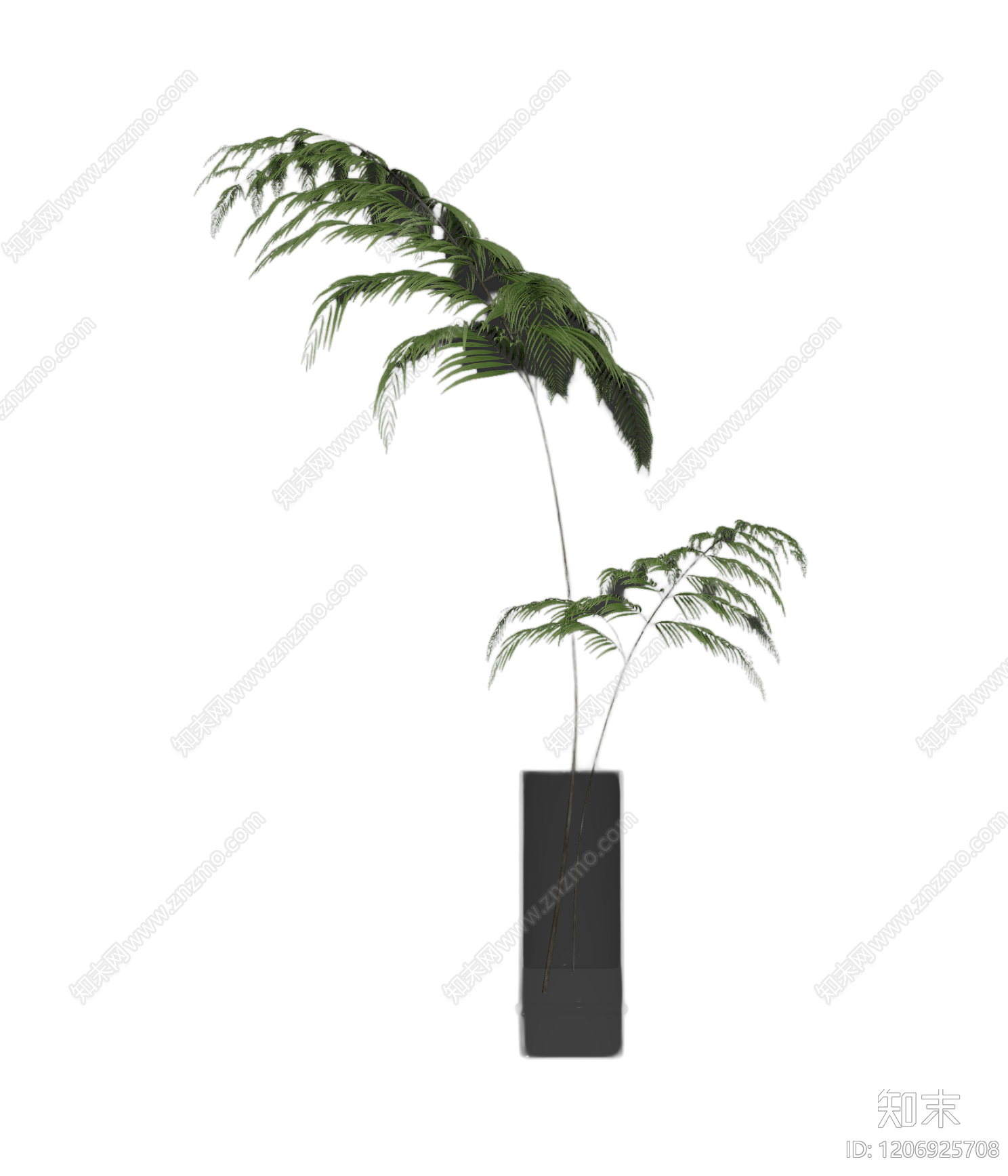 盆栽蕨类植物3D模型下载【ID:1206925708】