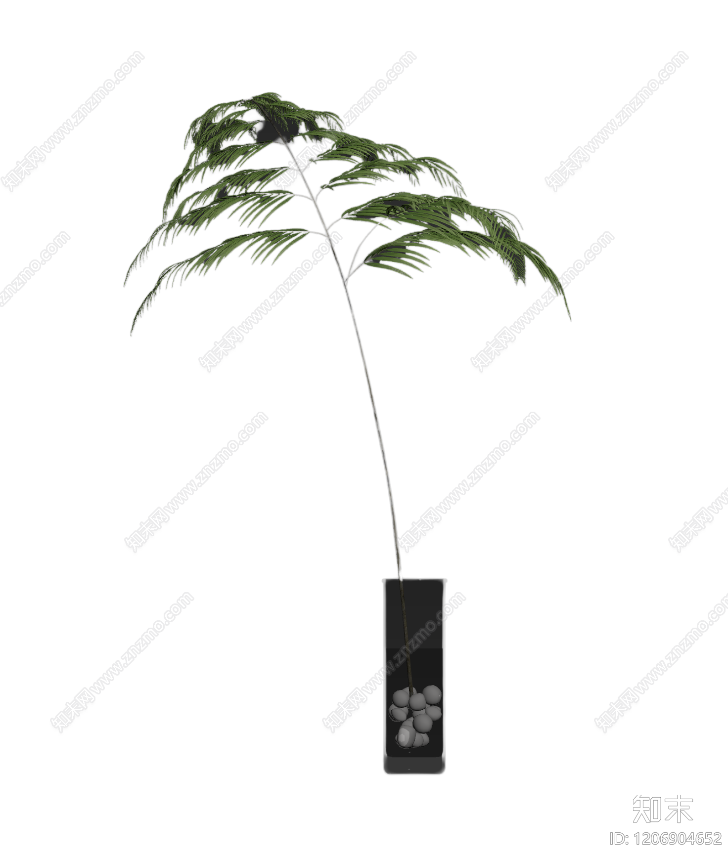 盆栽蕨类植物3D模型下载【ID:1206904652】