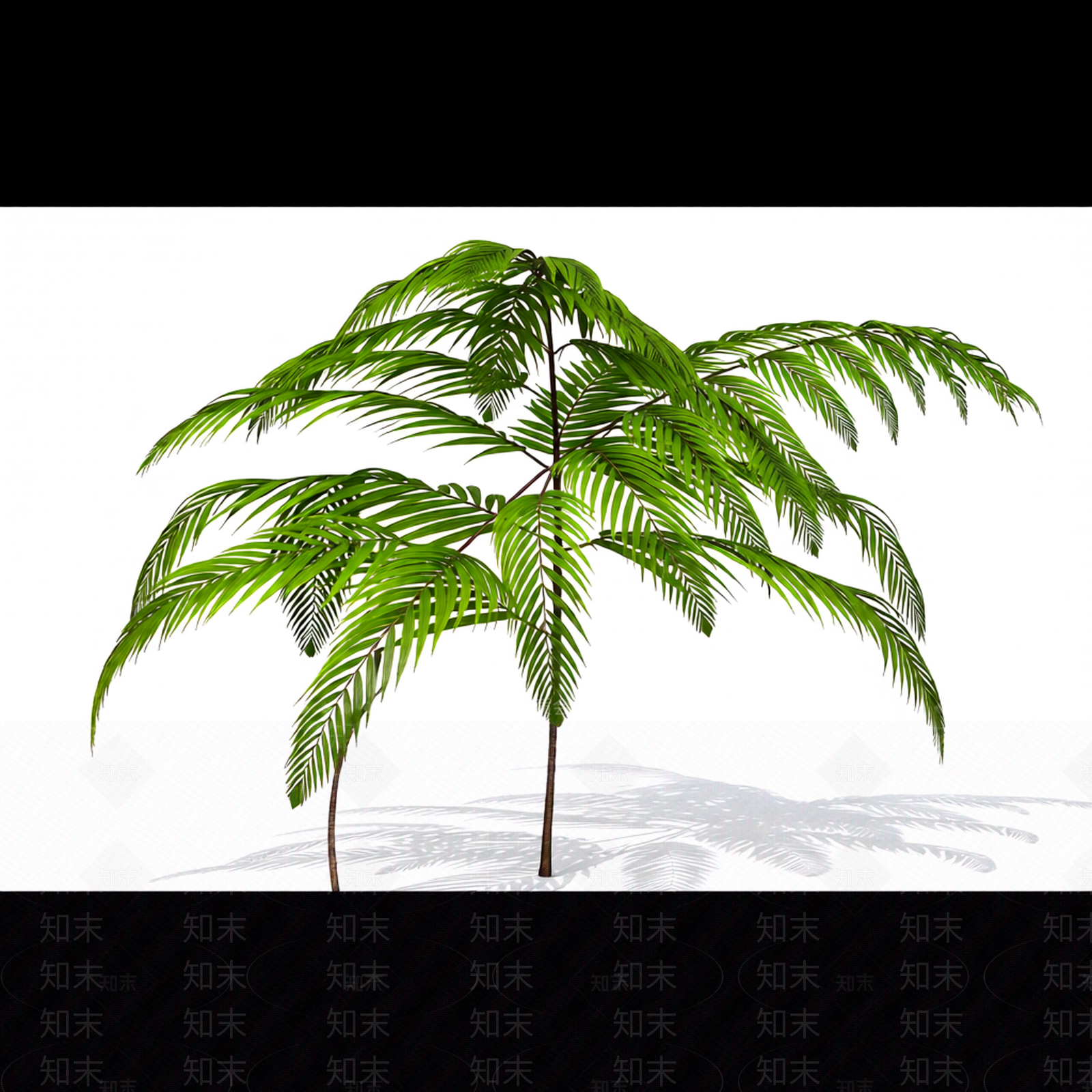 绿色枝叶植物模型3D模型下载【ID:1206194458】