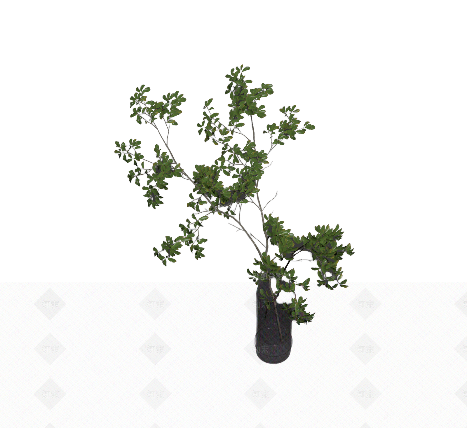 带盆绿植盆栽3D模型下载【ID:1206188346】