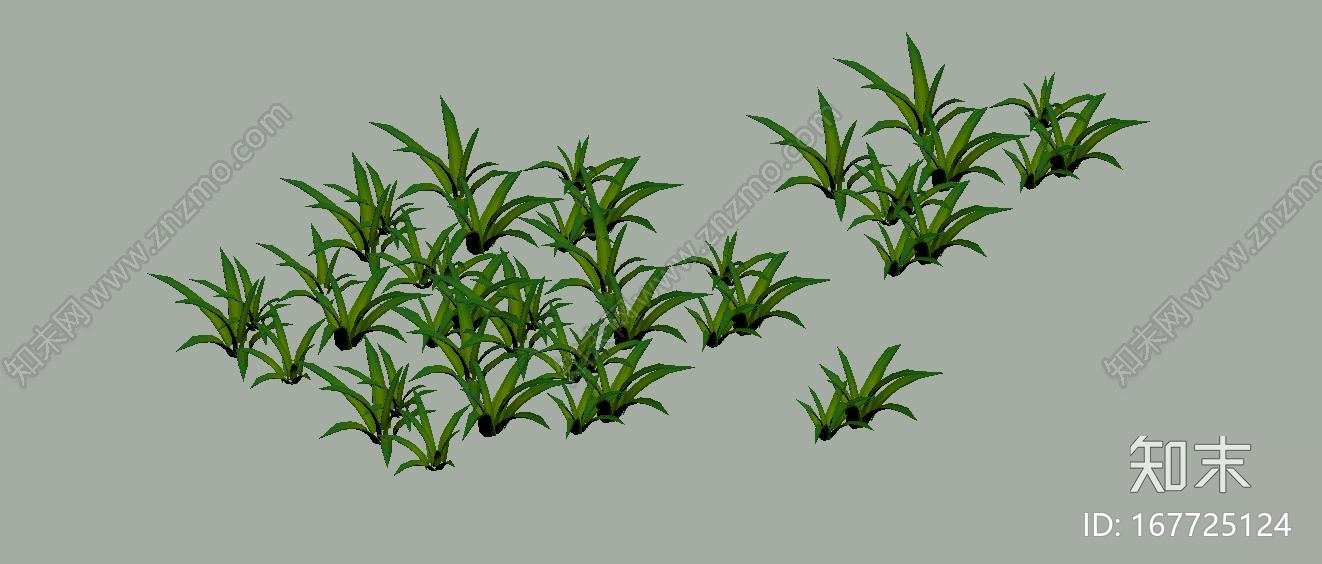 草，小草，草类CG模型下载【ID:167725124】