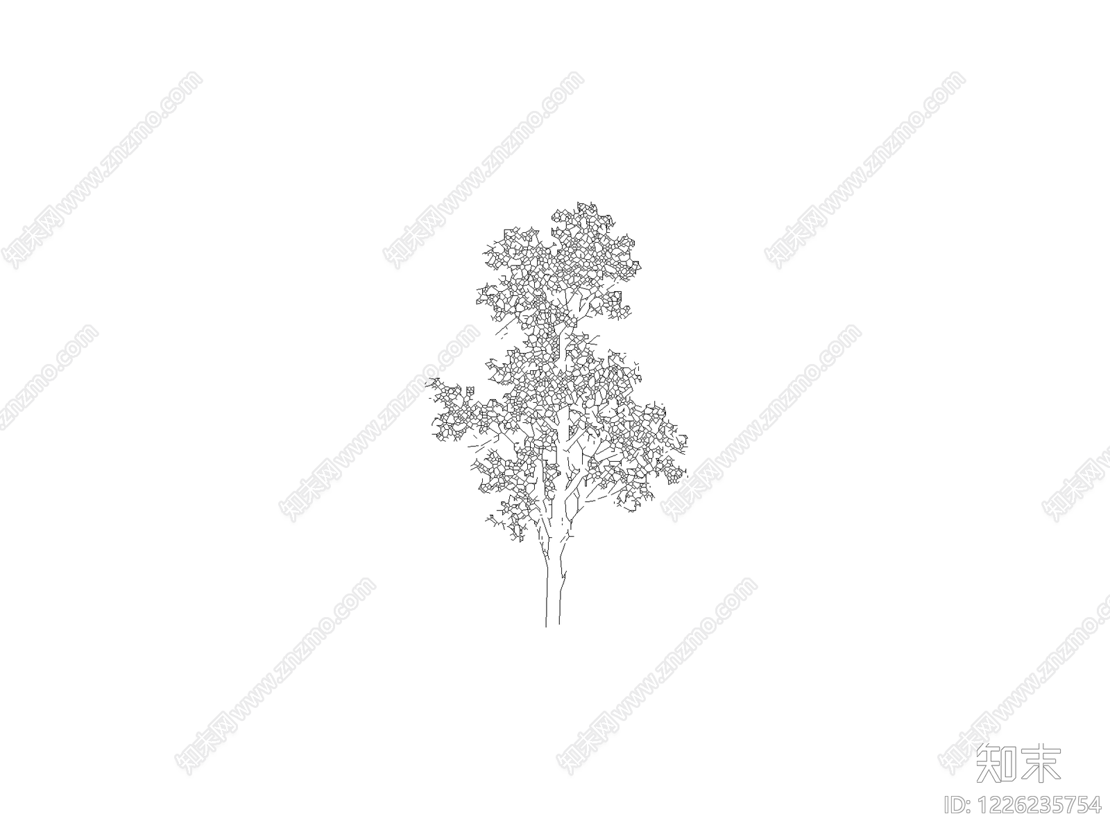 乔木种植cad施工图下载【ID:1226235754】