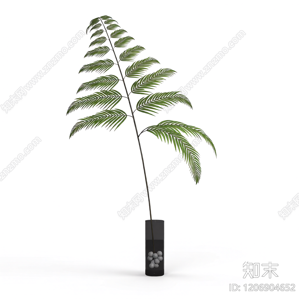 盆栽蕨类植物3D模型下载【ID:1206904652】