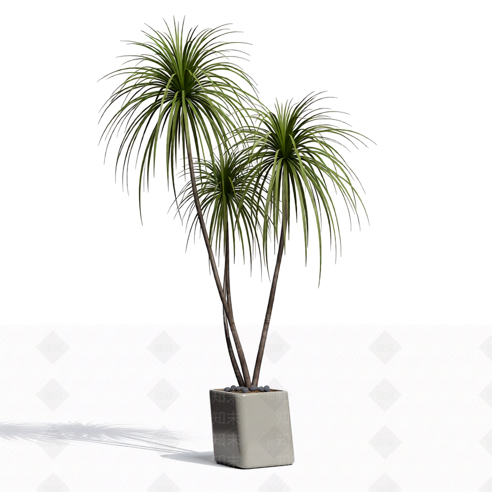 带盆多杆绿植3D模型下载【ID:1206205398】