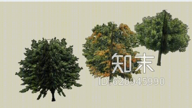 植物SU模型下载【ID:620945990】