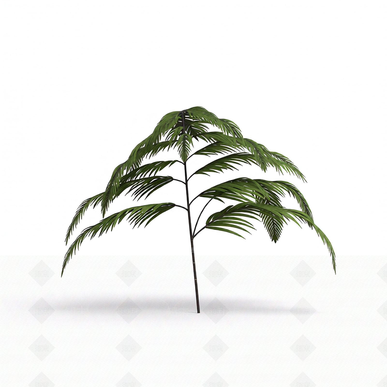 绿色蕨类植物模型3D模型下载【ID:1206181750】