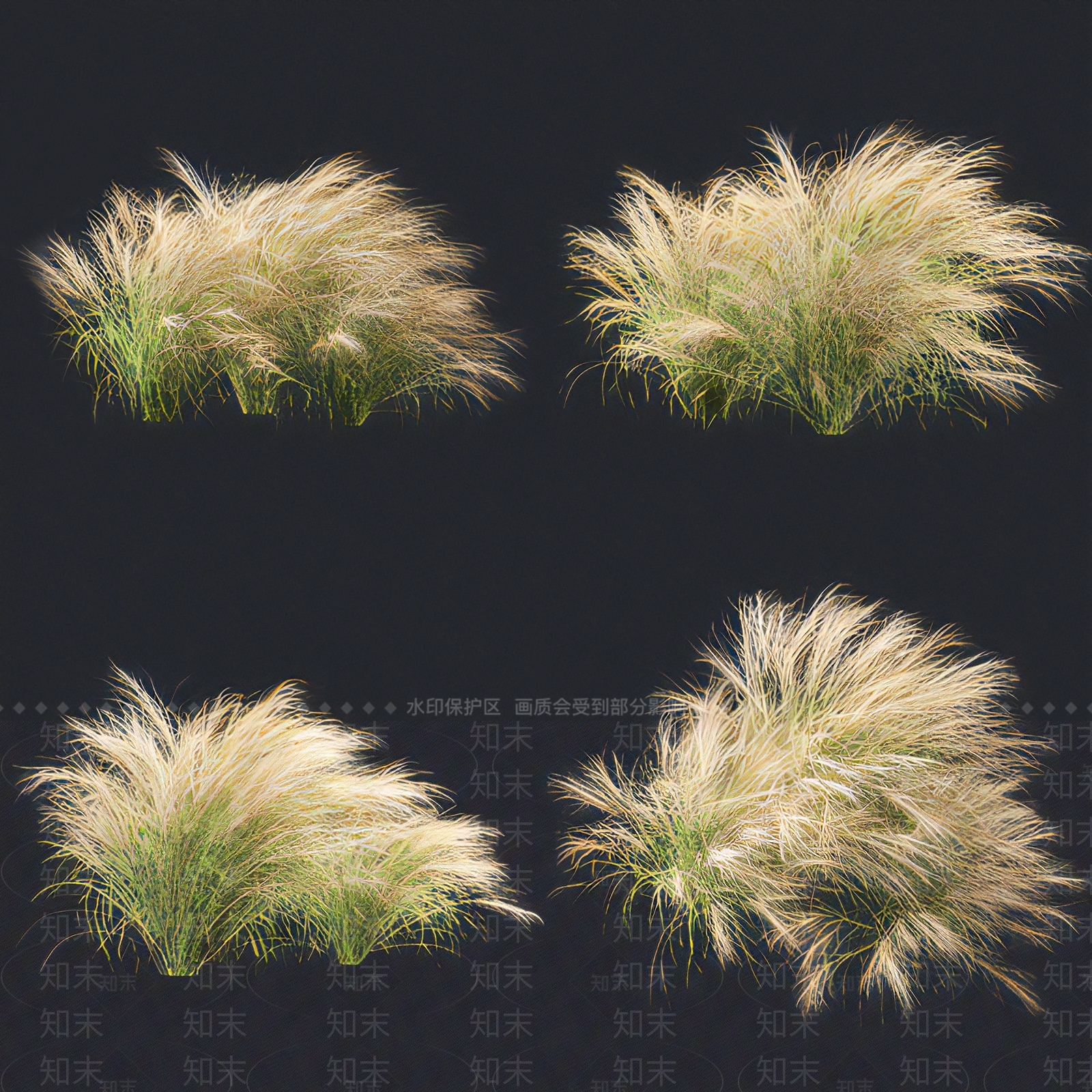 现代羽毛芦苇草3D模型下载【ID:595174492】