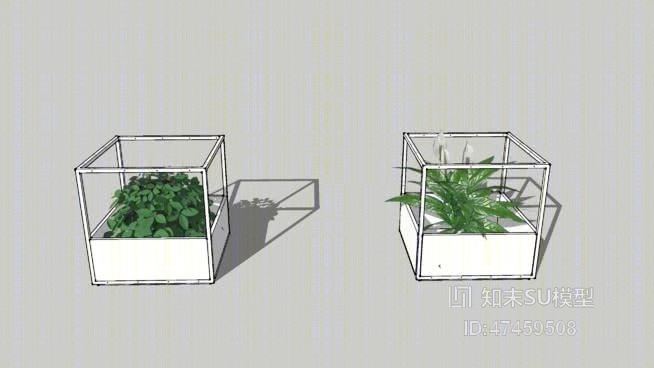 草SU模型下载【ID:218007147】