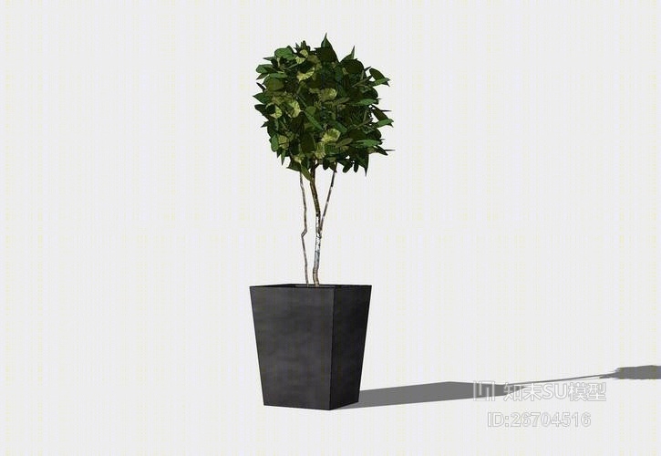 精品免费室内盆栽SU模型下载【ID:26704516】