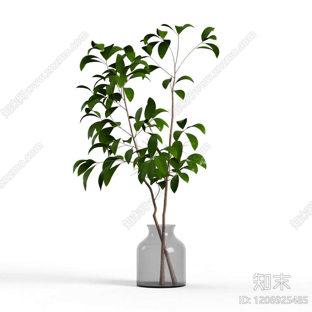 盆栽植物带花瓶3D模型下载【ID:1206925485】
