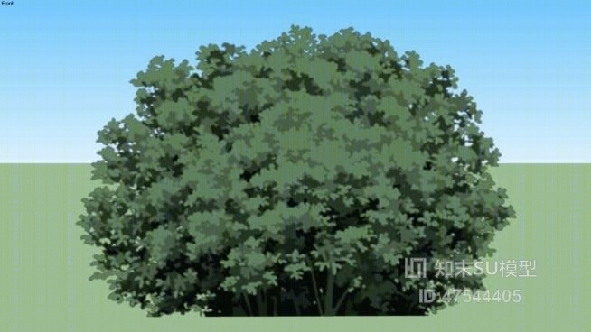 树SU模型下载【ID:119233621】