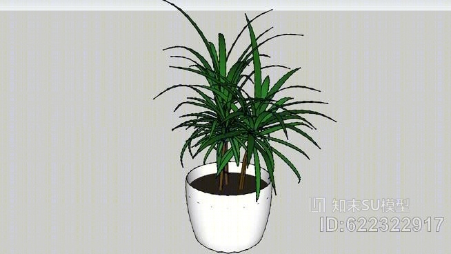 植物SU模型下载【ID:622322917】