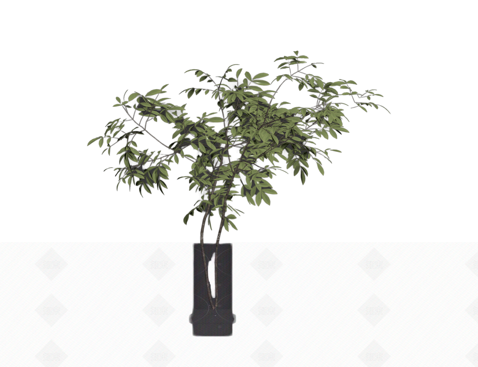 带盆绿植盆栽3D模型下载【ID:1206191247】