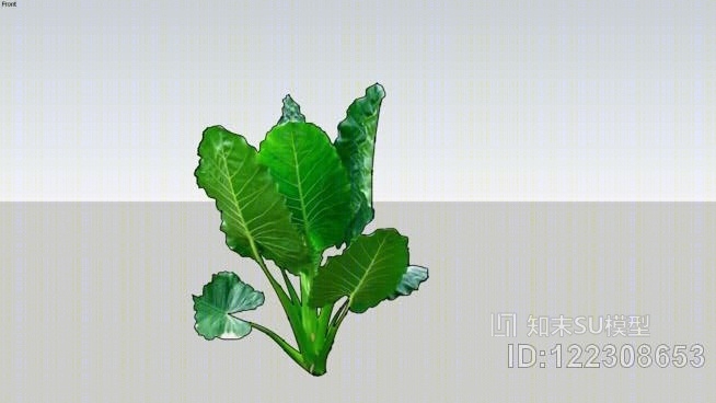 热带植物02SU模型下载【ID:122308653】