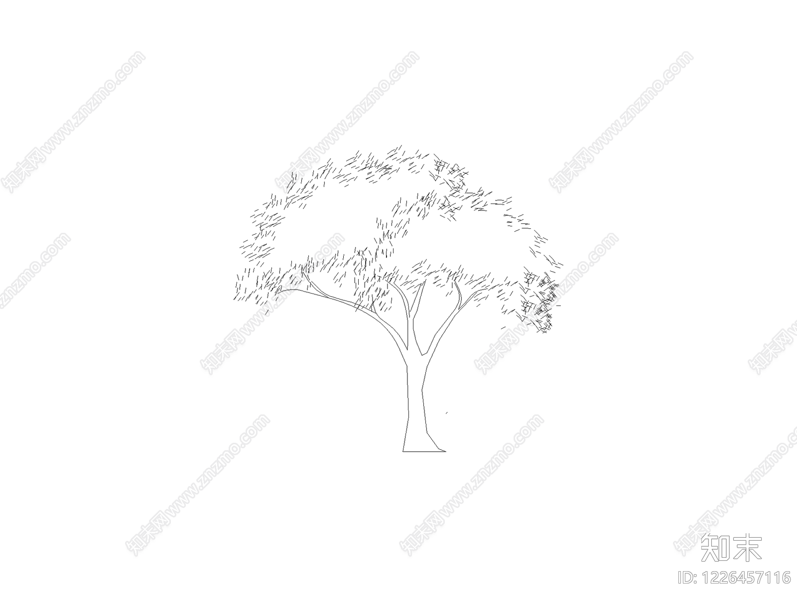 乔木种植CAD图纸