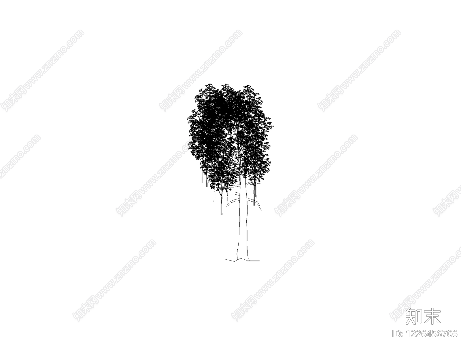 乔木种植CAD图纸