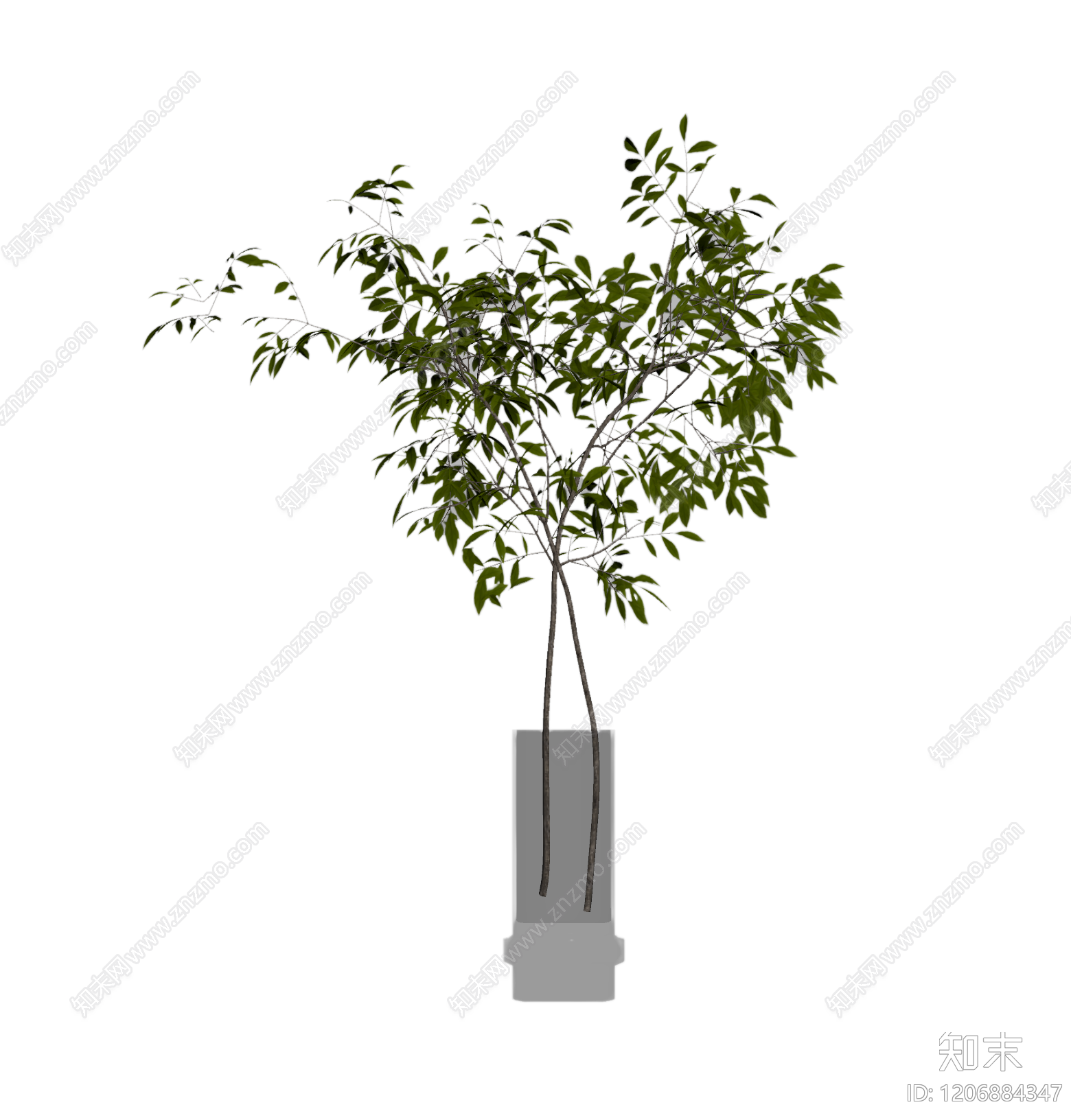 盆栽绿植3D模型下载【ID:1206884347】