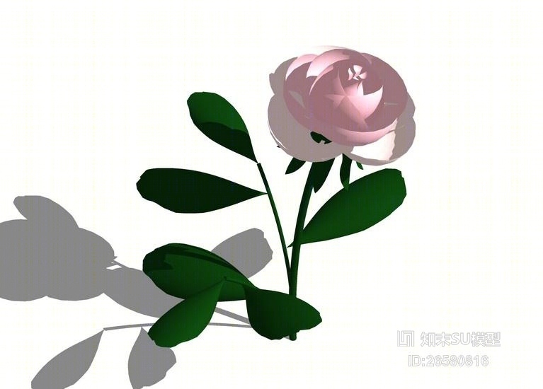 玫瑰SU模型下载【ID:26580816】
