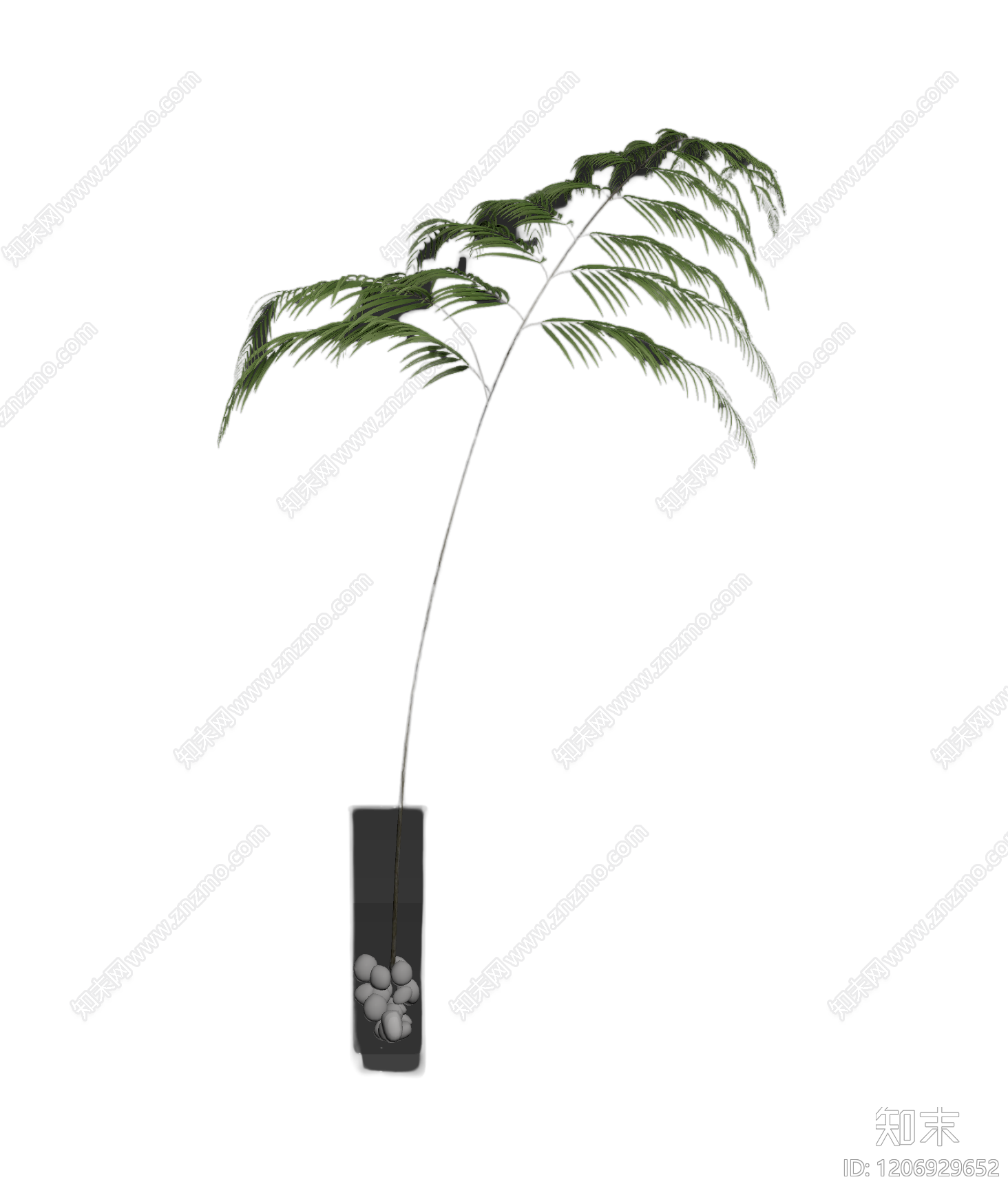 盆栽蕨类植物3D模型下载【ID:1206929652】