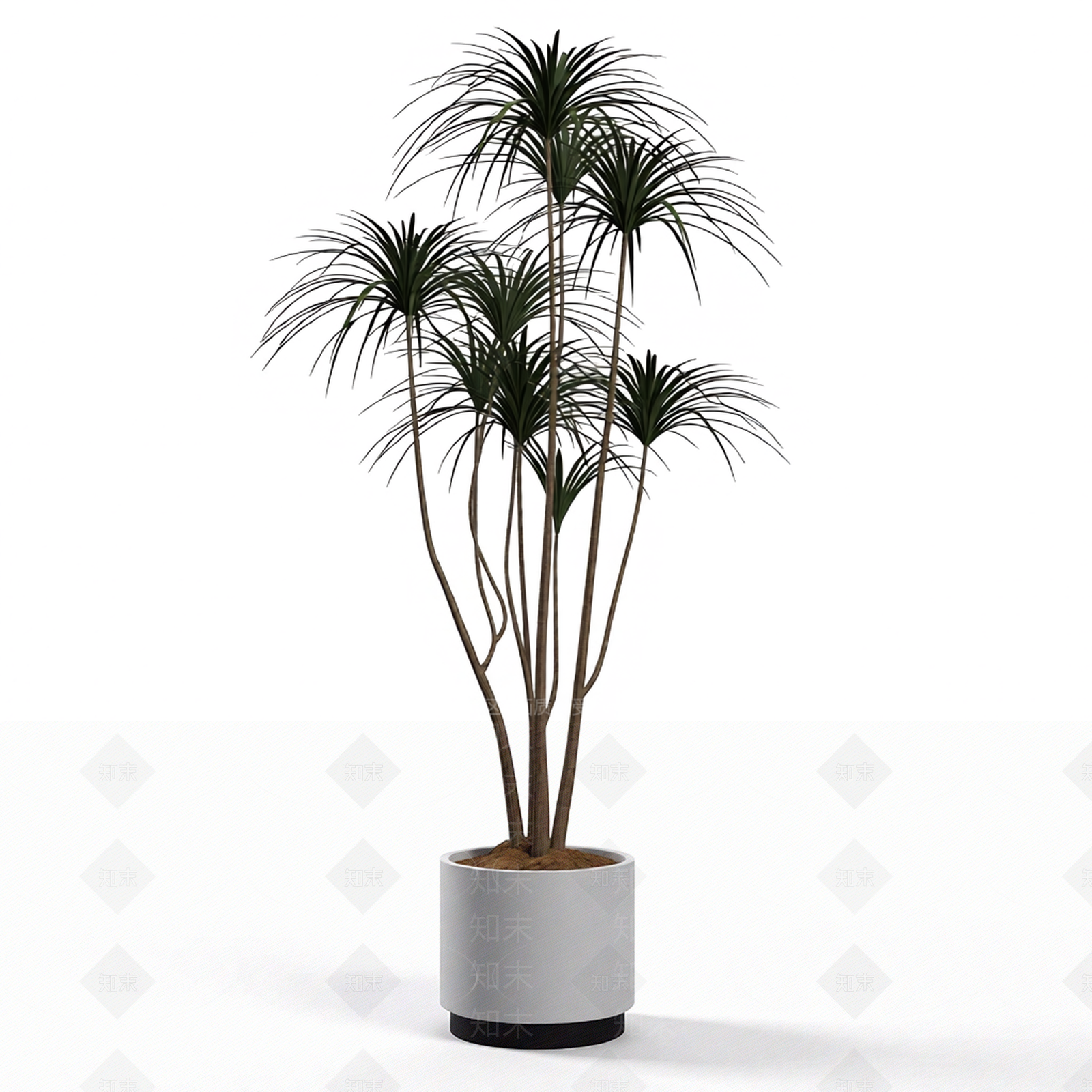 带盆绿植盆栽3D模型下载【ID:1206203940】