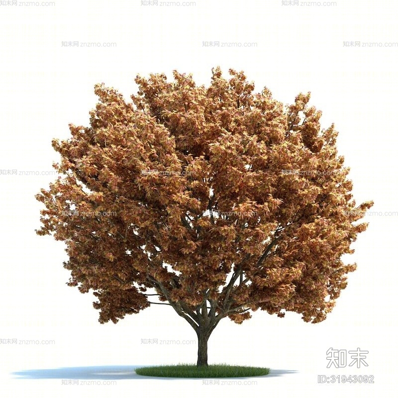 褐色景观树3D模型下载【ID:31943092】