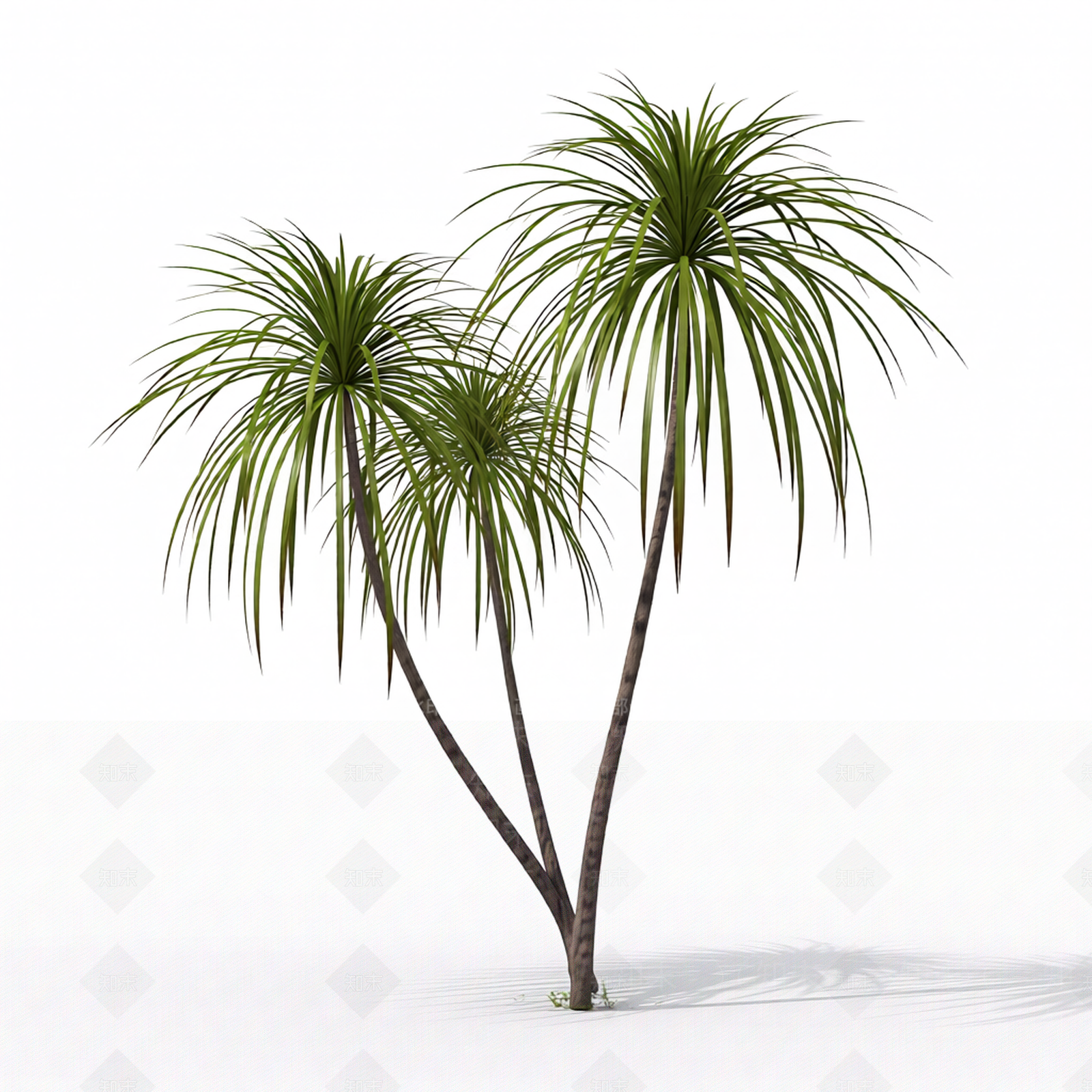 双株棕榈树模型3D模型下载【ID:1206188388】