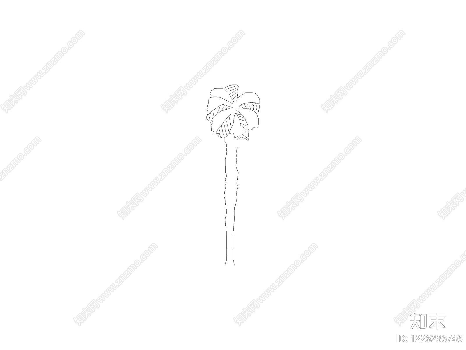 现代乔木种植CAD图纸