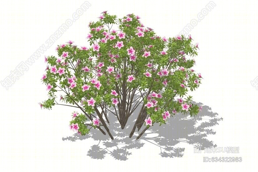 3D植物杜鹃丛SU模型下载【ID:634322983】