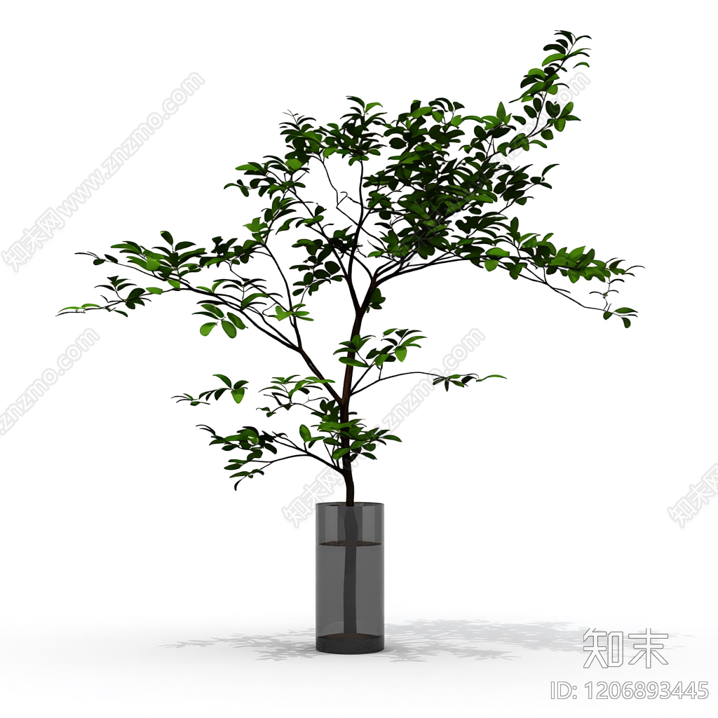 盆栽植物装饰3D模型下载【ID:1206893445】