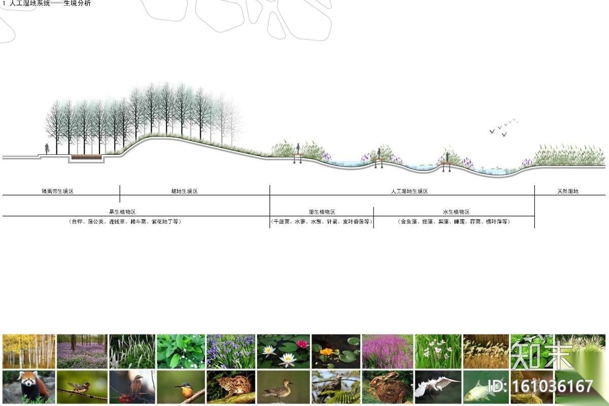 [哈尔滨]某新区生态湿地公园景观方案设计——土人设计cad施工图下载【ID:161036167】