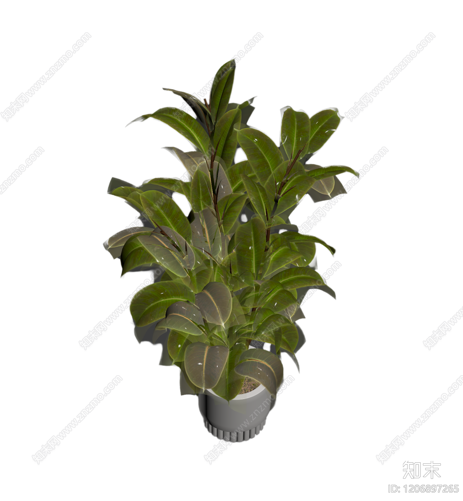 盆栽植物带花盆3D模型下载【ID:1206897265】