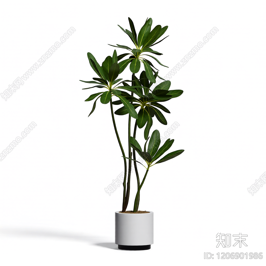 盆栽植物组合3D模型下载【ID:1206901986】