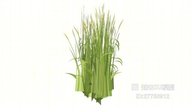 草SU模型下载【ID:27750912】