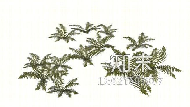 蕨类植物SU模型下载【ID:621509907】