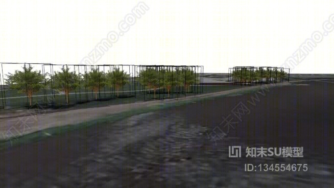 市区河道绿化工程（一期）树木SU模型下载【ID:134554675】