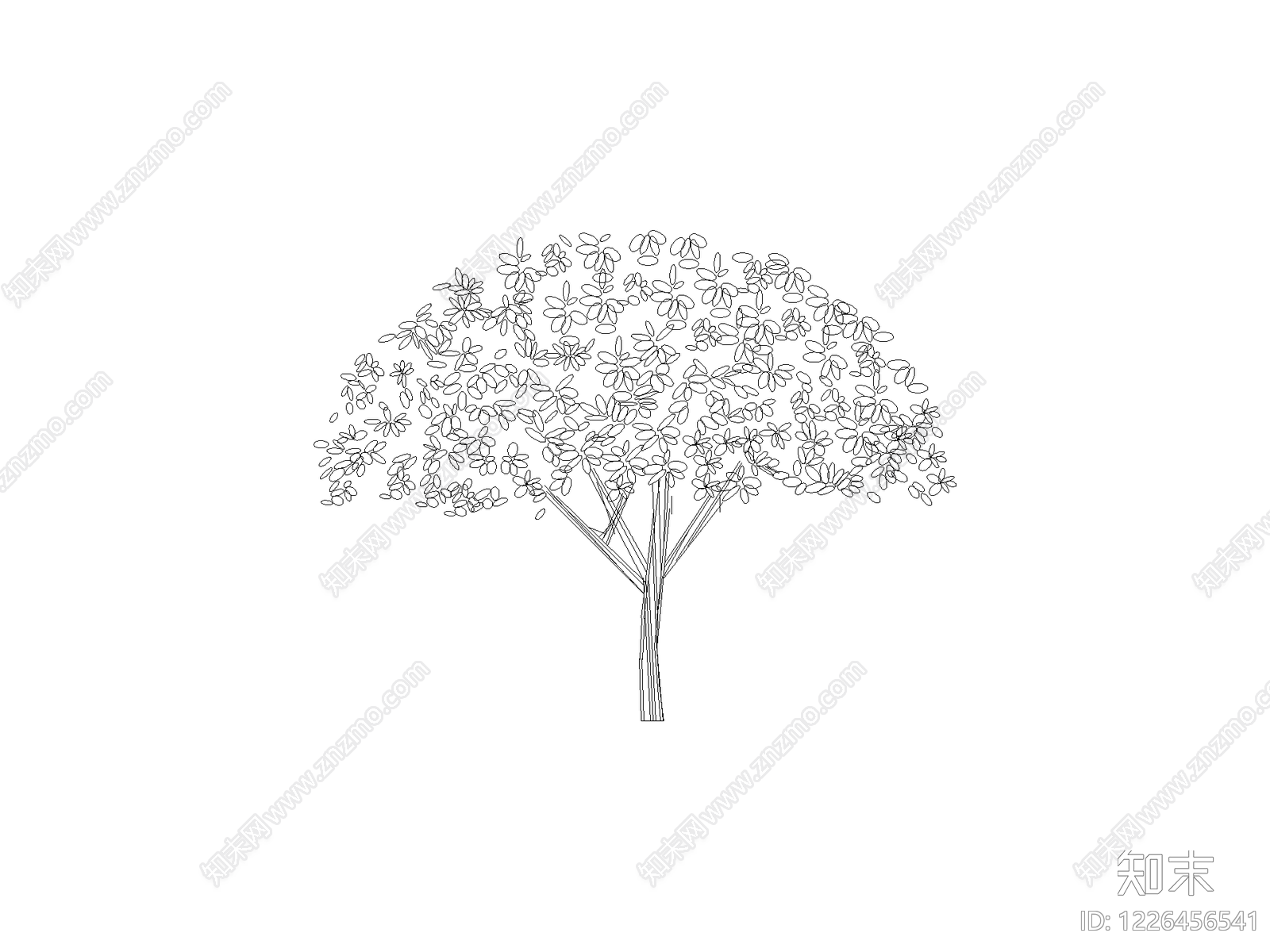 乔木种植CAD图纸