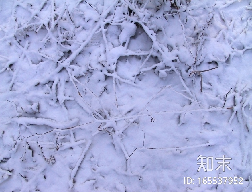 地面-雪地贴图下载【ID:165537952】