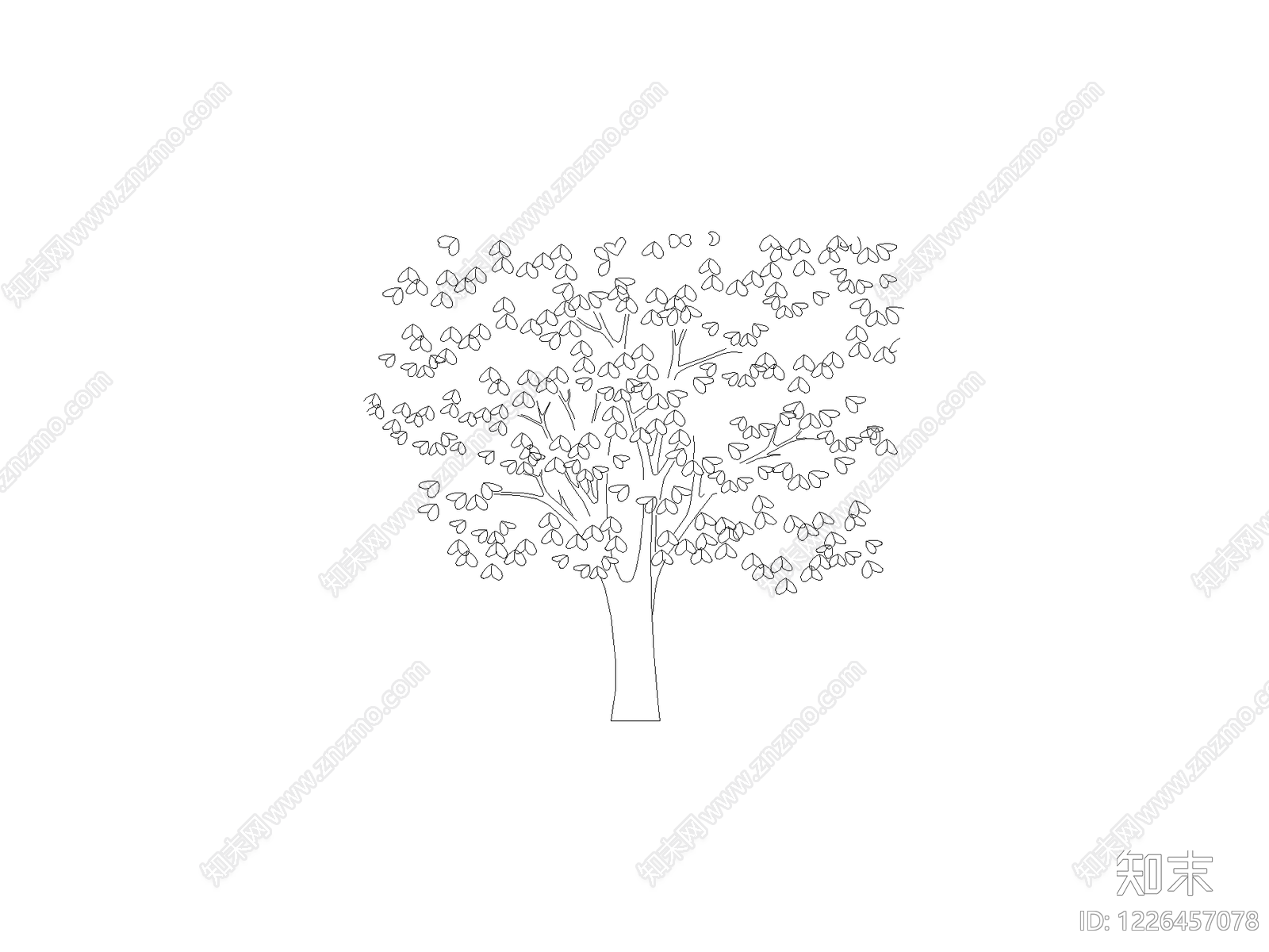 乔木种植CAD图纸