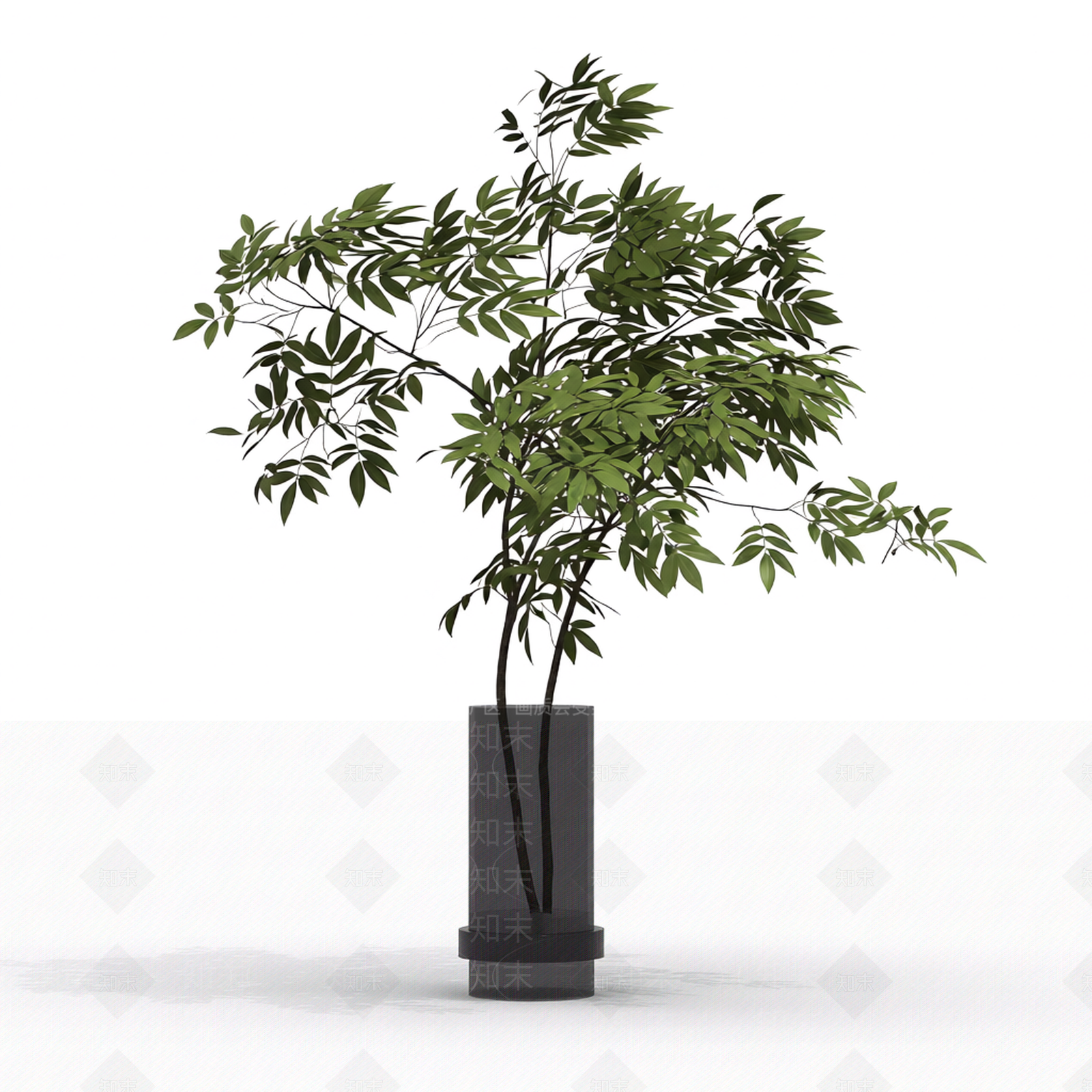 带盆绿植盆栽3D模型下载【ID:1206191247】