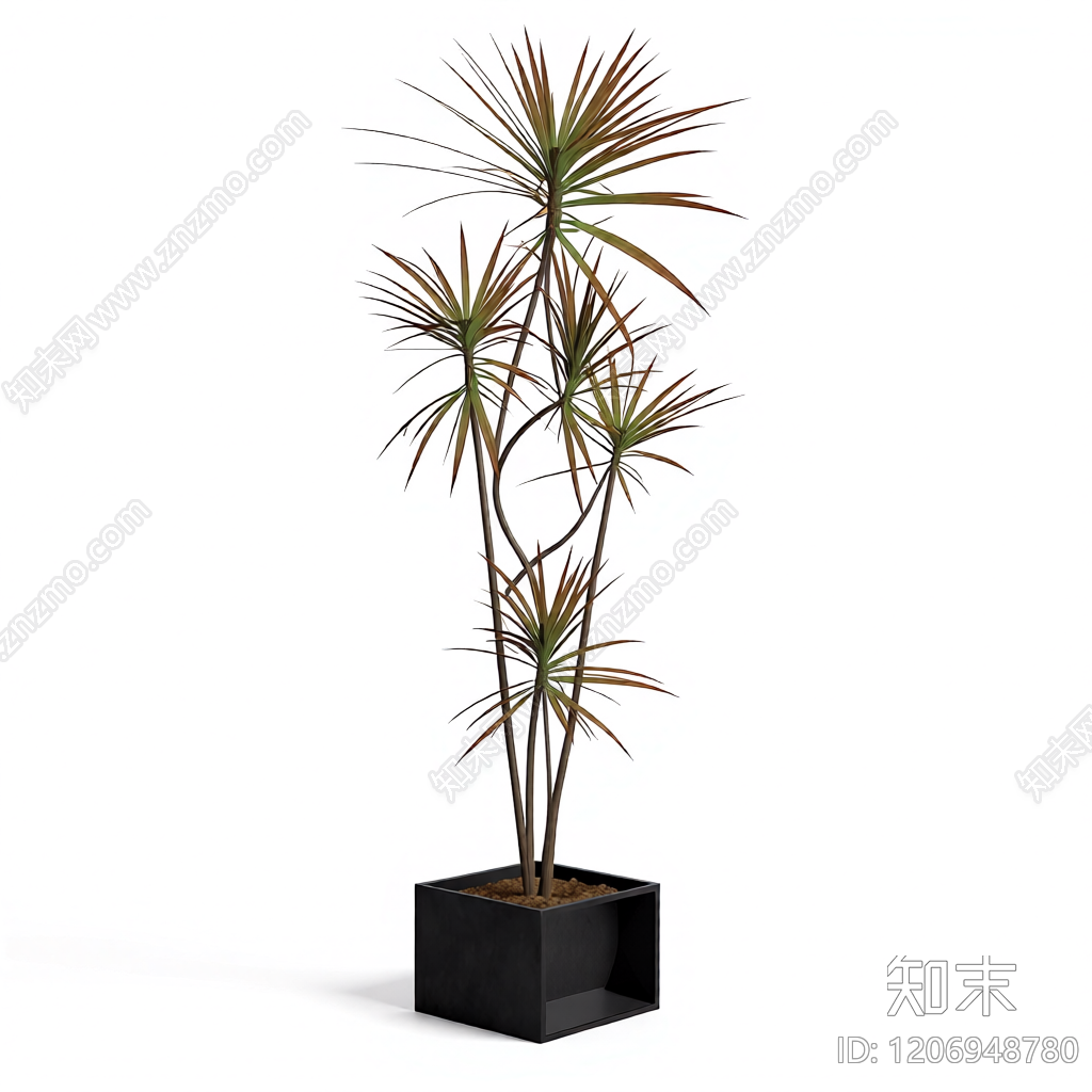 盆栽植物装饰3D模型下载【ID:1206948780】