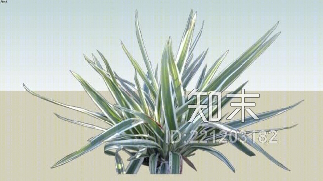 杂色草SU模型下载【ID:221203182】