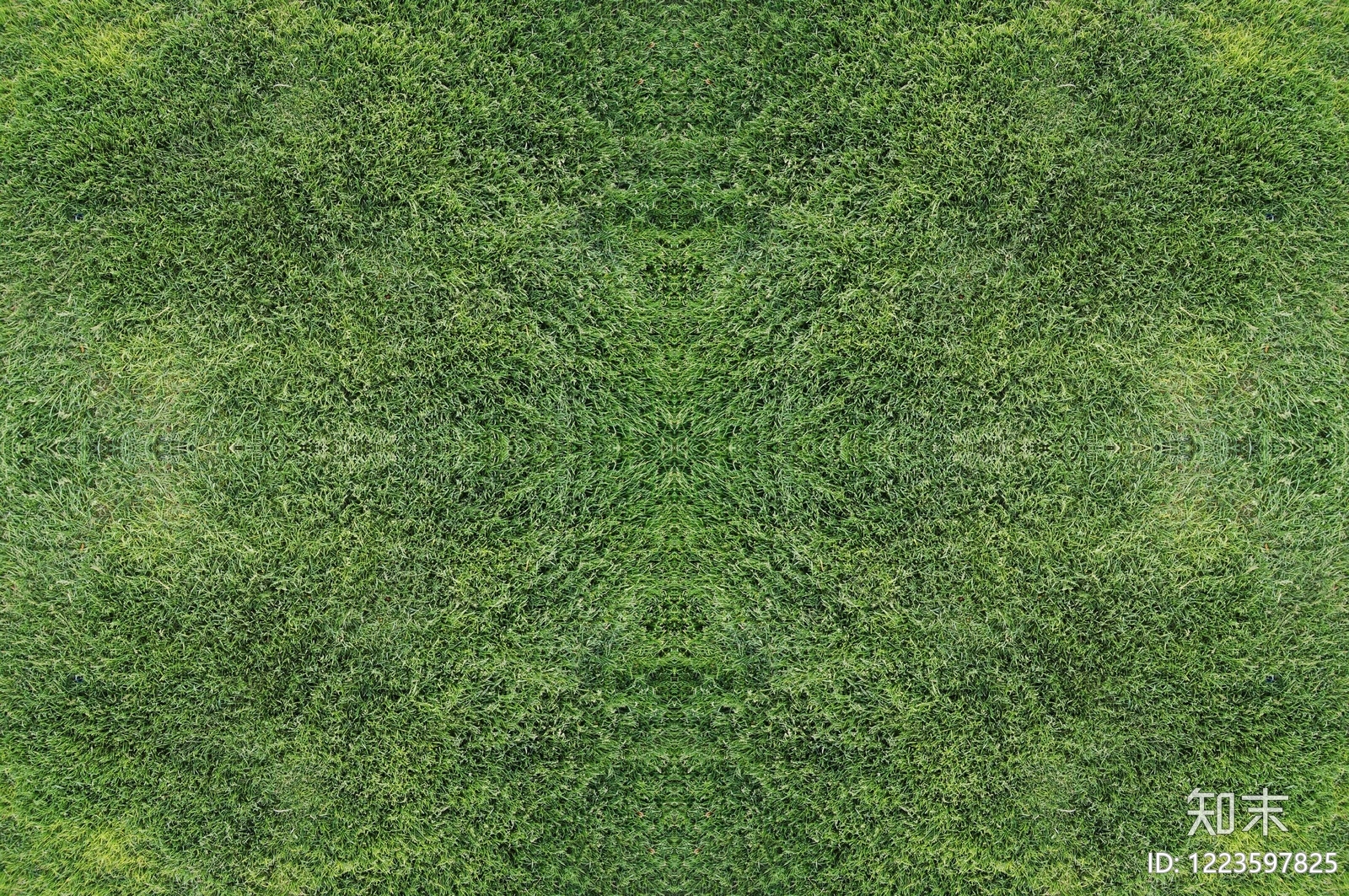 自然地面贴图下载【ID:1223597825】