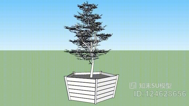 盆景盆栽树，橄榄树橄榄木木SU模型下载【ID:124628656】