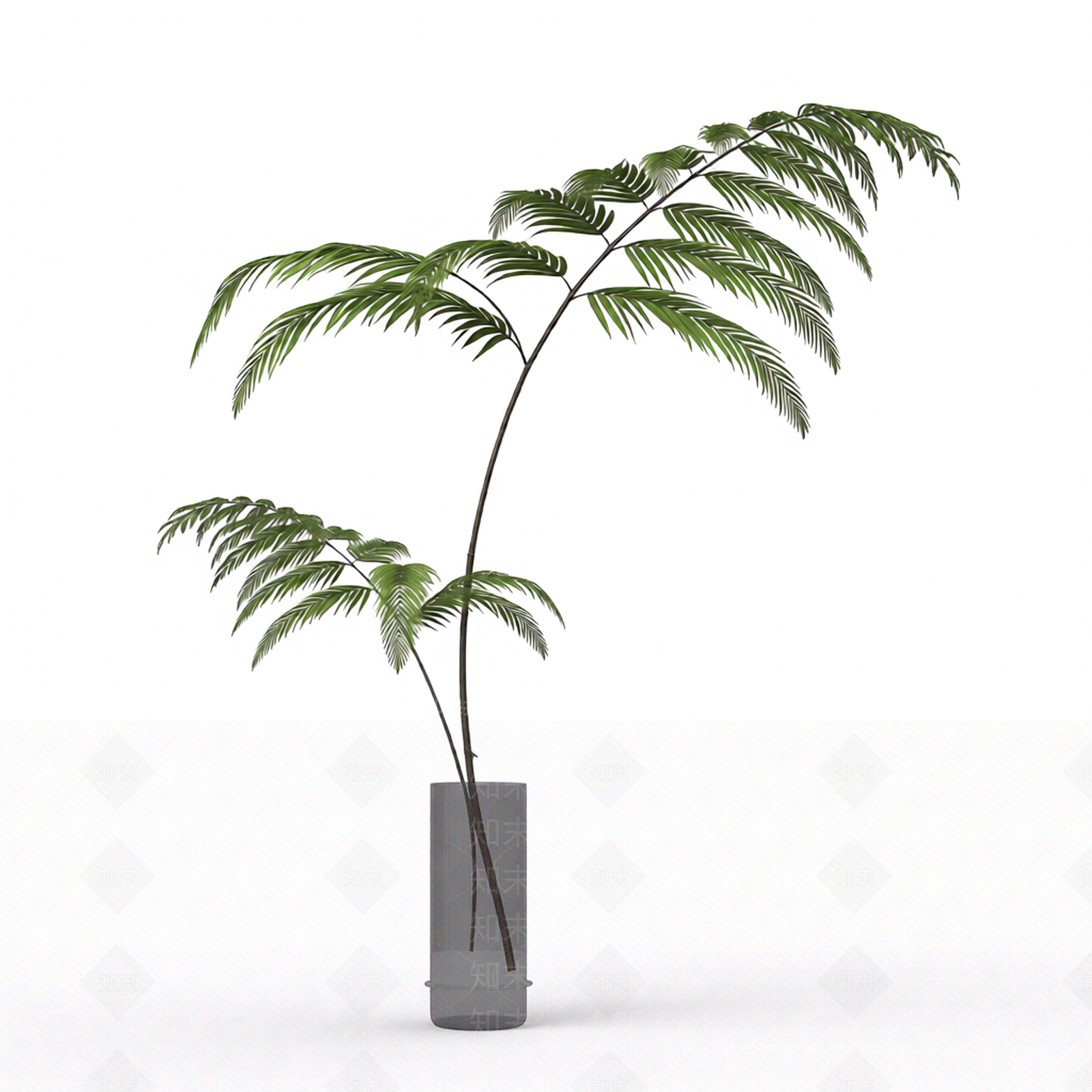 带盆绿色植物模型3D模型下载【ID:1206186854】